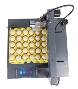 קידום מכונת הדפסת קוד תאריך אוטומטית מכונת תאריך ביצה להדפסת מפעל ברקוד