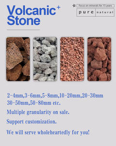 Piedra natural para plantas, piedra de grano carnoso, horticultura - Product Image 2