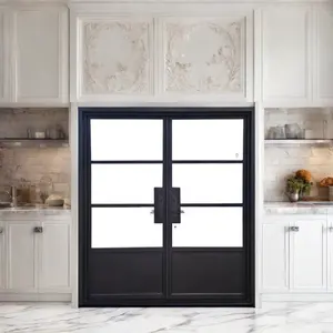 Oferta especial contemporánea Entrada exterior popular de doble puerta francesa de hierro forjado