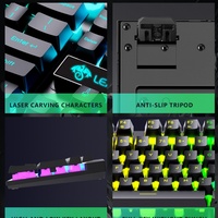 Ensemble clavier et souris de jeu rétroéclairé LEAVEN D320, lumière de caractères transparente, jeux, clavier et souris filaires USB