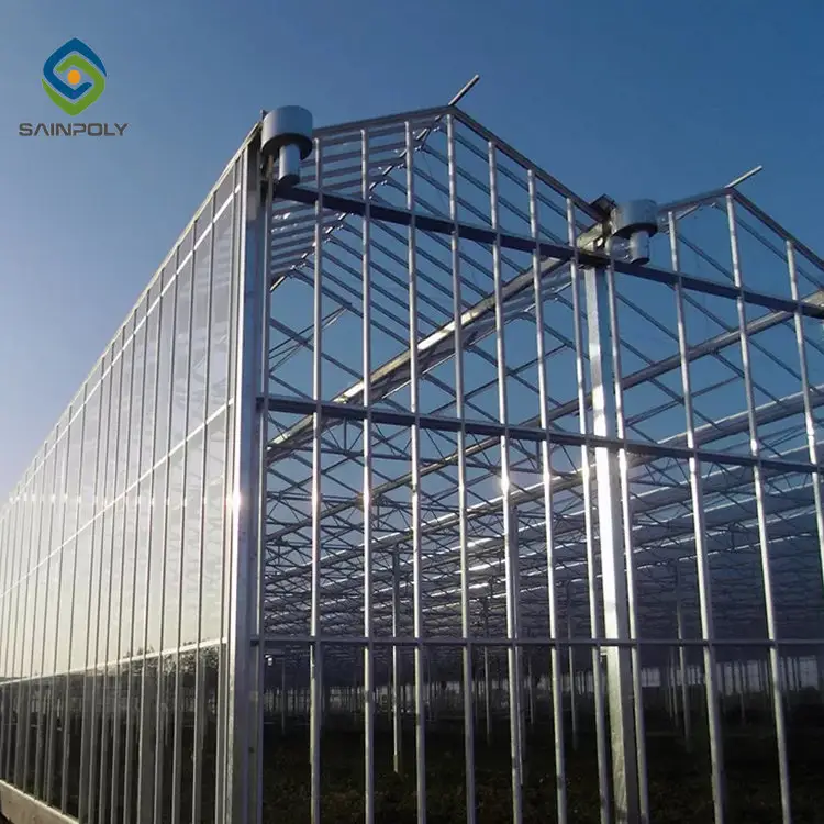 सेनापोली कृषि ग्रीनहाउस डिजाइन चीन थोक डबल ग्लास ग्रीनहाउस बिक्री के लिए ग्रीनहाउस ग्लास का उपयोग किया