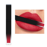 Haute qualité longue durée tapis rouges à lèvres maquillage imperméable mat liquide rouge à lèvres vendeurs rouge à lèvres marque privée