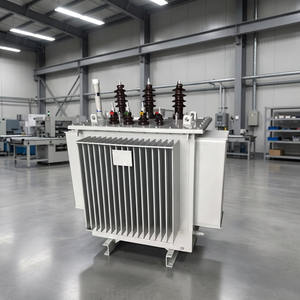 Transformador trifásico de 25 kVA, entrada de 6 kV, salida de 380 V, sumergido en aceite, con certificación CE, para aplicaciones industriales - Product Image 1