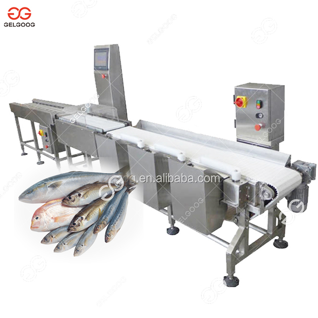 Automatic Fish Sorting Machine for Sale
