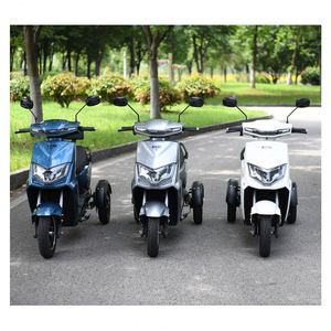 Triciclo eléctrico EEC de doble motor con neumático de grasa corporal abierto de 60V para personas dobles - Product Image 3