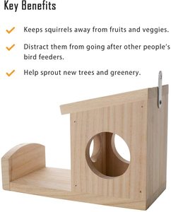 Mangeoire d'écureuil en bois personnalisée - Product Image 4