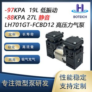Compresor de Bomba de Pistón BOTEICH 12V 24V 36V de Alto Flujo 29 LPM para Fisioterapia, Limpieza, Belleza y Pulverización - Product Image 5