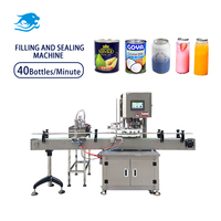 Machine de remplissage et de scellage entièrement automatique de 200 ml pour bouteilles de métal, idéale pour les boissons, le jus de noix de coco et les jus de fruits – Meilleures ventes