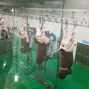 Gia Súc Giết Mổ Thiết Bị Nhà Sản Xuất Từ Trung Quốc - Product Image 2
