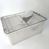 Cage pour rats de laboratoire Groupe de souris Cages d'élevage