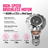 Pengering Rambut Profesional FirePhoenix M2 MAX OEM ODM Logo Kustom 2800W 220-240V Motor Tanpa Sikat untuk Salon