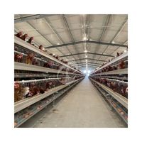 Système de cage automatique pour poules en batterie, type A