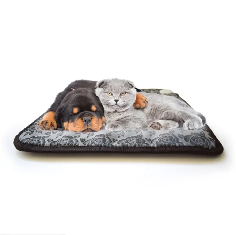 Wifi Pet coperta elettrica USB riscaldatore stuoia letto piccolo gatto cane Pad tappeto caldo animali riscaldamento rapido stuoia riscaldante