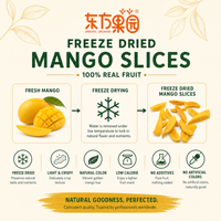 Kosjer HALAL BRC CERTIFICAAT Natuurlijk Gefreeze-droogde Mango Zoete Smaak Laag in Vet Klaar om te Eten Veganistisch Voedsel ODM OEM Gedroogd Fruit