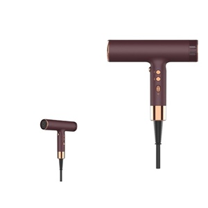 Secador de Pelo Profesional al por Mayor con Múltiples Difusores, Iónico Negativo, Sin Escobillas, Potente - Product Image 1