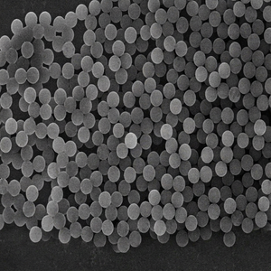Microesferas Magnéticas de Carboxilo de Alta Pureza para Conjugación de Anticuerpos, Aislamiento de Proteínas y Flujo de Trabajo de Separación Celular - Product Image 1