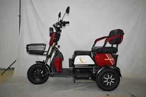 2024 New Wholesale Adult Pedal Electric Tricycle Household Electric Vehicle Electro-Tricycle
