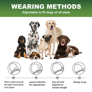 Lot de 4 colliers <span class=keywords><strong>anti</strong></span>-<span class=keywords><strong>puces</strong></span> et <span class=keywords><strong>anti</strong></span>-tiques en silicone réglables et imperméables pour animaux de compagnie, prévention des parasites pour chiens - Product Image 6