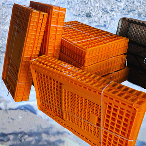 Yüksek Kaliteli Yeni Polipropilen Yetişkin Tavuk Taşıma Kafesi Kolay Kurulum Katlanabilir Tasarım Fabrika Doğrudan Satış Üreme - Product Image 3