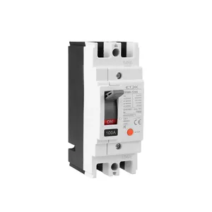 ETEK 2 pole modular case circuit breaker AC type rated voltage 400V 10- 125A 2p thermal electromagnetic type black/white MCCB