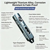 Mini lampe torche EDC en alliage de titane, rechargeable par Type-C, lumière puissante, portable, lampe porte-clés