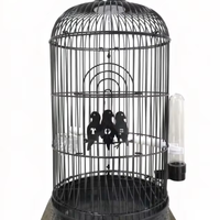 Cage à oiseaux ronde noire de qualité supérieure avec support et accessoires, cage à perroquet durable avec mangeoire et perchoir pour perruches, canaris