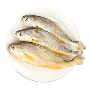 China suministra alta calidad IQF Frozen Yellow Croaker Fish Whole & Guteed Farm Fish con el mejor precio <span class=keywords><strong>para</strong></span> la venta - Product Image 1