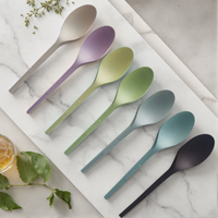 Ensemble de couverts de mariage Greenday, vaisselle de fête, service de traiteur, ustensiles alimentaires, table à manger, vaisselle jetable pour la maison, cuillère en CPLA
