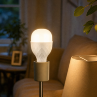 Ampoule LED domestique 15W avec diffuseur, culot E27 B22, driver DOB, AC85-350V, RA70-95, haute luminosité