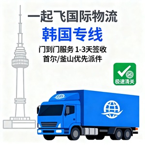 Servicio de Logística Directa de Corea del Sur Puerta a Puerta con Despacho de Aduanas en Seúl y Busan, Entrega Prioritaria - Product Image 2
