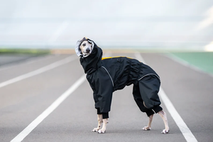 Traje Impermeable <span class=keywords><strong>para</strong></span> Perros de Raza Hound, Impermeable <span class=keywords><strong>para</strong></span> Galgos - Product Image 4