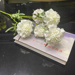 Soportes <span class=keywords><strong>de</strong></span> decoración <span class=keywords><strong>de</strong></span> flores <span class=keywords><strong>de</strong></span> boda artificiales realistas hechos a mano <span class=keywords><strong>de</strong></span> 70CM Scabiosa Atropurpurea Pine Worm Grassflowers decoración <span class=keywords><strong>de</strong></span> boda - Product Image 1