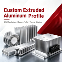 Moule d'extrusion de profilés en aluminium sur mesure, profilés en aluminium OEM à partir de dessins et d'échantillons, usine de traitement de surface à guichet unique