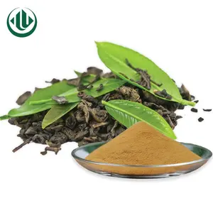 Multifunktion spray getrocknetes Grüntee-Extrakt-Koffein pulver für heißen Tee/Eistee/Backen