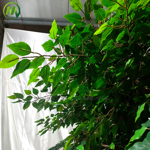 Decorazione Verde per Interni ed Esterni, Grande Albero <span class=keywords><strong>Bonsai</strong></span> Artificiale, Ficus in Tessuto, Albero di Banyan per Centri Commerciali - Product Image 4