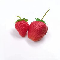 100 stuks groothandel realistische simulatie aardbei groente model FZCM-260 plastic machinaal gemaakt kinderspeelgoed voor vroeg onderwijs