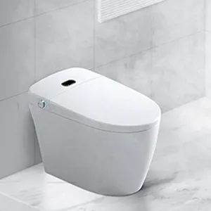 Wholesale europe home bathroom ceramic inteligente inodoro smart one piece toilets with bidet