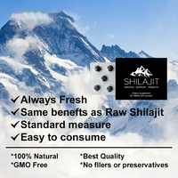 Comprimés de Shilajit de l'Himalaya Greenpie OEM/ODM - Acide fulvique, soutien de la force et des os articulaires, complément alimentaire quotidien