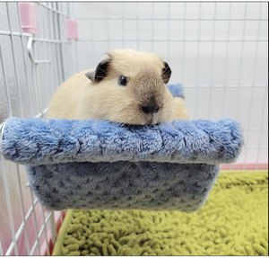 <span class=keywords><strong>Hamaca</strong></span> cálida Sugar Glider Accesorios Plataforma colgante Accesorios <span class=keywords><strong>para</strong></span> hámster <span class=keywords><strong>Nido</strong></span> <span class=keywords><strong>para</strong></span> mascotas - Product Image 3