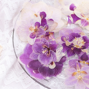 Flores <span class=keywords><strong>de</strong></span> Orquídea Prensadas Elegantes para Arte en Resina, Orquídeas Púrpuras Naturales al por Mayor para Manualidades, Fundas <span class=keywords><strong>de</strong></span> Teléfono con Resina Epoxi - Product Image 4