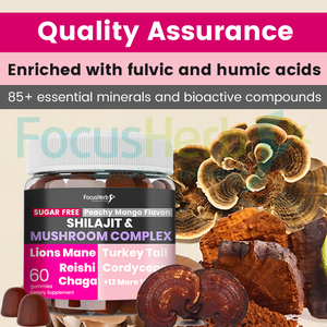 FocusHerb Marque Privée Personnalisée Gommes de Shilajit aux Champignons Composés Biologiques Purs de l'Himalaya - Product Image 5