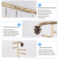 Perchoir pour perroquet en bois naturel, aire de jeux pour oiseaux, jouets à mâcher en forme de cône de pin, pour oiseaux de petite et moyenne taille, cage durable, écologique, intérieur/extérieur