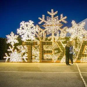 Große 3d 3D LED Dmx Home Rope Depot Motive Straßen laternen Ramadan Weihnachts skulptur Schneeflocke Motiv Licht