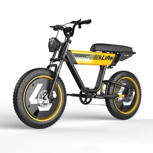 Molde privado ClipClop con patente 500W 750W 48V13AH neumático grueso híbrido eléctrico bicicleta de montaña motocicleta ebike adulto