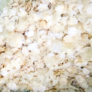 Dried Fish Scale and Dried Fish Skin// Ms. Reina// 2026 - Product Image 1