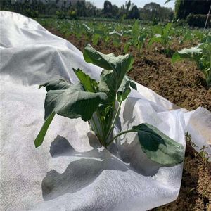 Couverture polaire agricole respirante pp paillis non tissé tissu non tissé tissu <span class=keywords><strong>de</strong></span> mauvaises herbes non tissé tapis <span class=keywords><strong>de</strong></span> mauvaises herbes non tissé en polypropylène - Product Image 2
