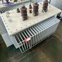 Transformateur de distribution toroïdal immergé dans l'huile SinoShine, 315 kVA, ultra-silencieux, 1000 kVA, à économie d'énergie, fourni par l'usine, best-seller