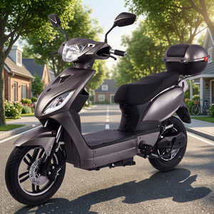 Scooter à pédales 1000w 45 km/h le plus vendu en Europe avec certificat EEC COC - Product Image 4