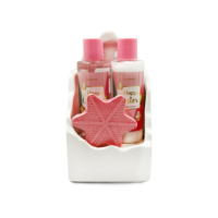 Vente en gros Étiquette Hydrater Soins du corps Douche Bain Spa Coffret cadeau 2024 2024 2025