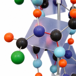 Modelo de Estructura de Proteína, Biología <span class=keywords><strong>Molecular</strong></span>, Modelo de Síntesis de Proteínas, Modelo Anatómico 3D para Educación <span class=keywords><strong>en</strong></span> Ciencias Médicas - Product Image 4